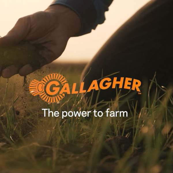 GallagherLogo